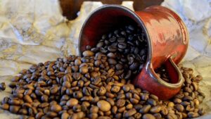 biji kopi robusta